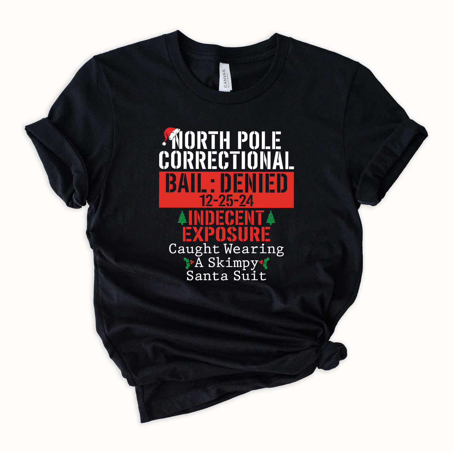 North Pole Correctional Indecent Exposure