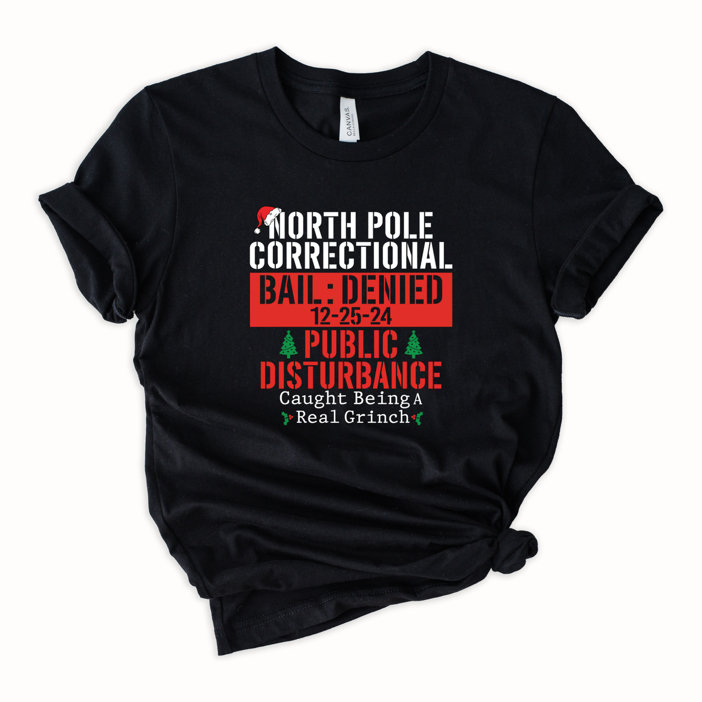 North Pole Correctional Public Disturbance