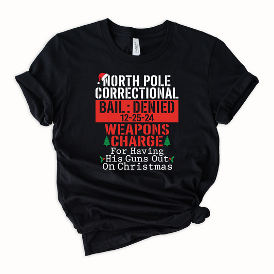 North Pole Correctional Weapons Charge