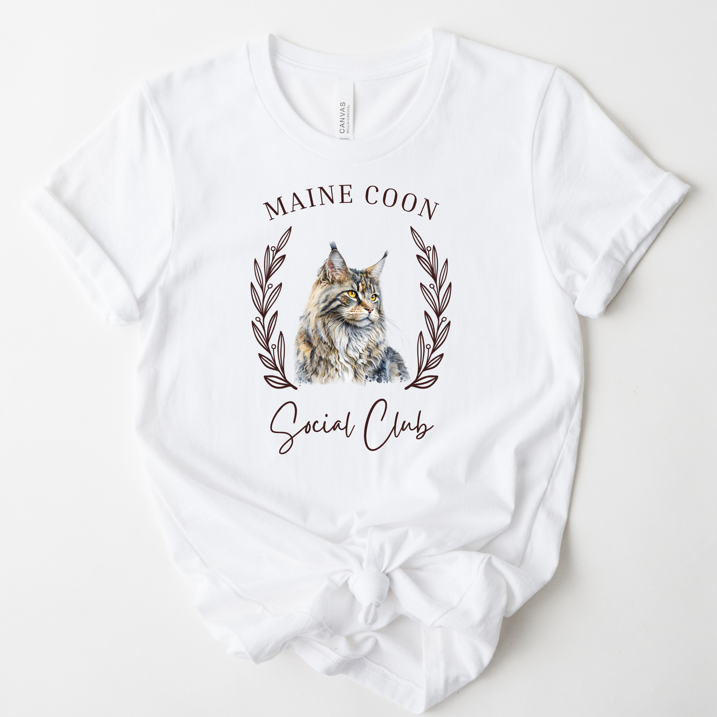 Maine Coon Social Club