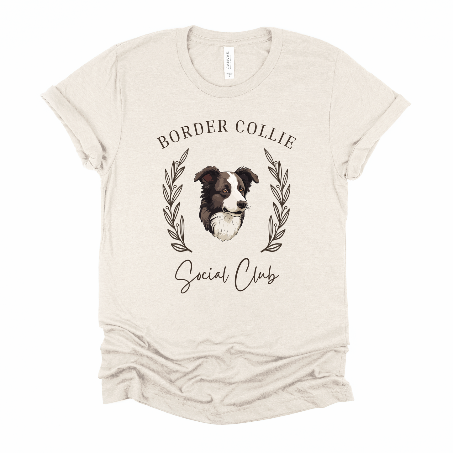 Border Collie Social Club