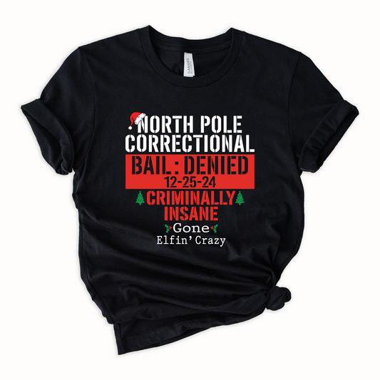 North Pole Correctional Criminally Insane