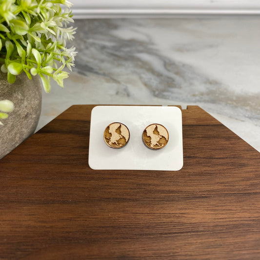 Wooden Stud Earrings - Earth