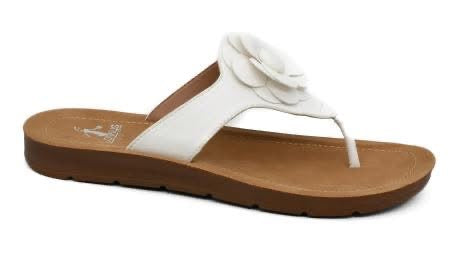 Corkys So Delish - White